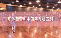 港龙舞蹈形体芭蕾和中国舞有啥区别