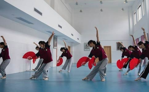 港龙舞蹈,专业舞蹈教学机构